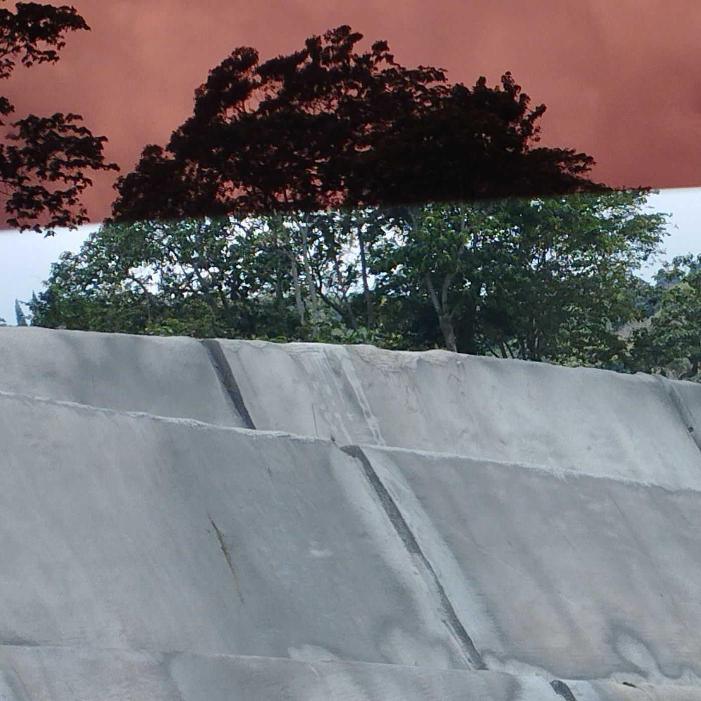 tmfm
